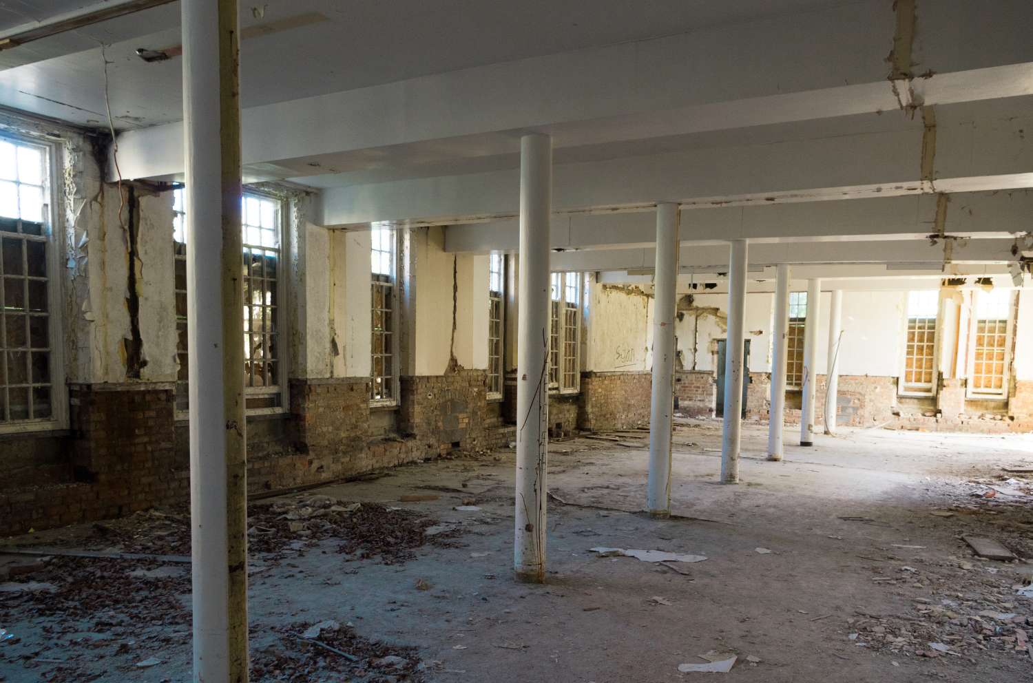 Building Surveying